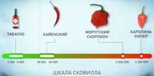 Выращиваем острый перец ч