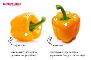 Как определить женский и мужской сладкий перец и для чего это нужно?