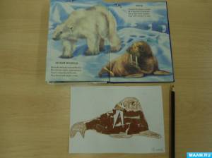 Мастер-класс по изготовлению аппликации «Житель Арктики и Антарктиды