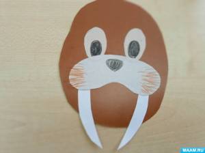 Идеи проведения дня моржа в детском саду