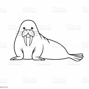 Морж рисунок для детей