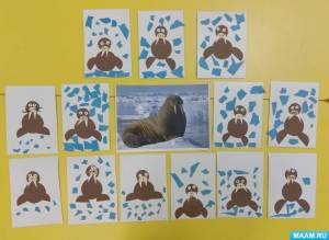 Конспект проведения занятия по аппликации «Морж во льдах»