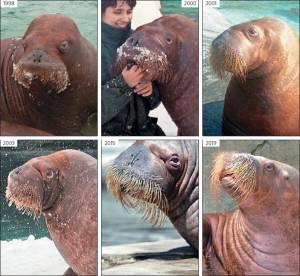 Узнай меня, если сможешь