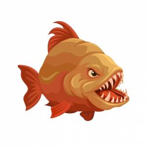 Рыба-пиранья из рек южной америки