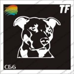Трафарет СБ6 Питбуль