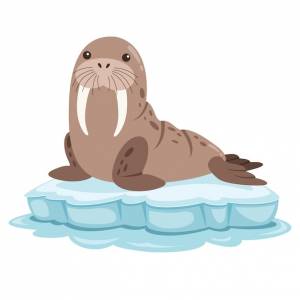 Мультфильм рисунок моржа