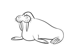 Раскраски морской морж