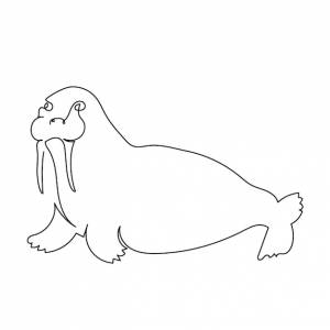 Однолинейный рисунок моржа для логотипа