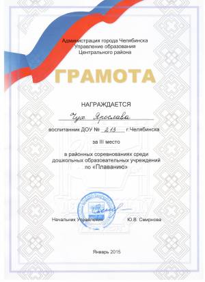 МАДОУ ДС № 213 » Наши победы