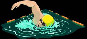 пловец PNG рисунок, картинки и пнг прозрачный для й загрузки