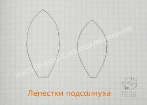 Лепесток подсолнуха шаблон