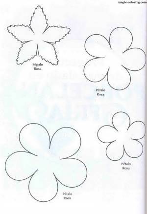 Шаблоны цветов из фоамирана