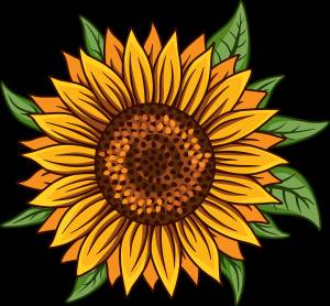 Подсолнух шаблон