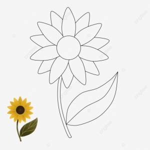 рисунок раскраски подсолнухи PNG , цветочный рисунок, рисунок солнца, рисунок цветов PNG картинки и пнг PSD рисунок для й загрузки
