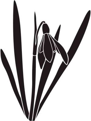 Трафареты Подснежника