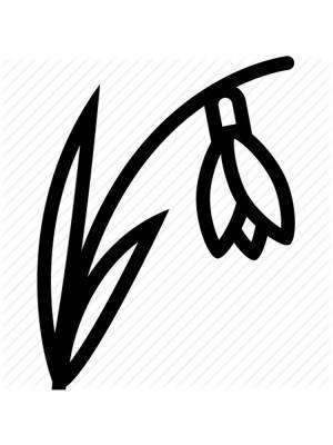 Трафареты Подснежника