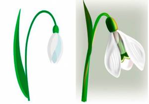 Подснежники из гофрированной бумаги своими руками