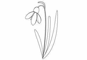 Шаблон подснежника