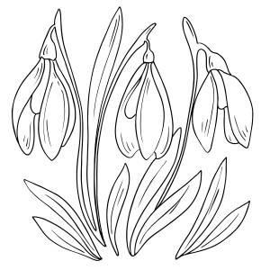 Шаблон подснежника