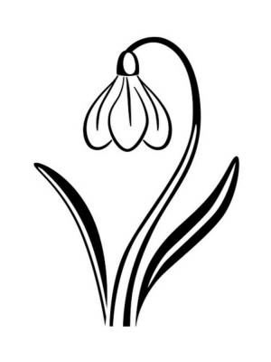 Трафареты Подснежника