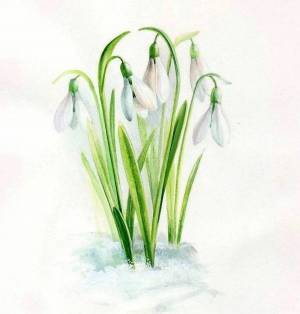 Детский рисунок подснежники весной