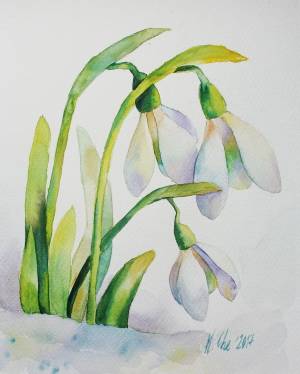 Подснежник рисунок карандашом