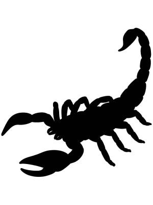Трафареты Скорпиона