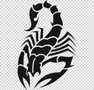 Scorpion Tattoo Хна Флэш, Скорпион, лист, монохромный, насекомые png