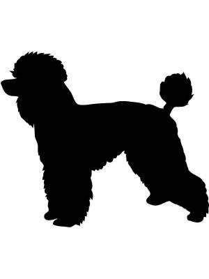 Трафареты Пуделя