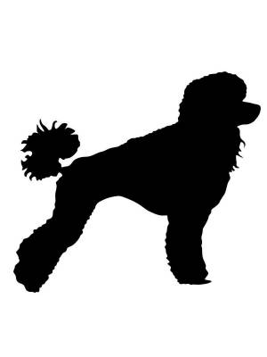 Трафареты Пуделя