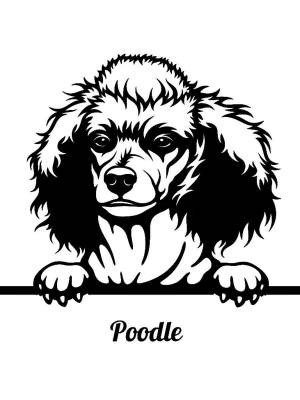 Трафареты Пуделя