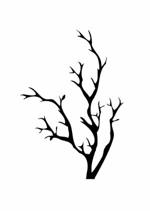 Трафареты Ветки Деревьев