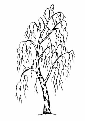 Трафареты Березы
