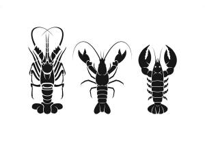 Трафареты Рака