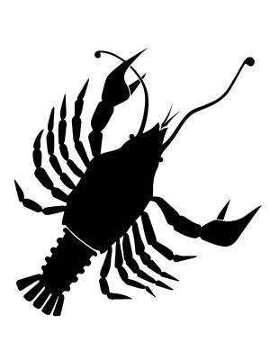 Трафареты Рака