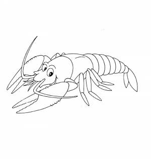 Раскраски Рак