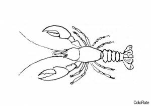 Раскраска Реалистичный рак