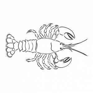 Графический вектор рака, нарисованный в стиле линии искусства, векторный рисунок рака на белом фоне