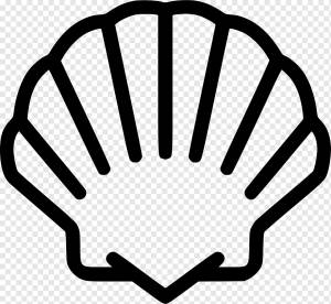 Морская ракушка, шаблон, угол, животные png