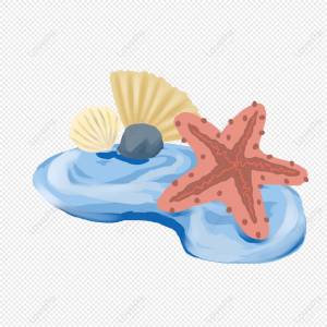 Морская звезда морская ракушка изображение_Фото номер 401310544_PSD Формат изображения_ru