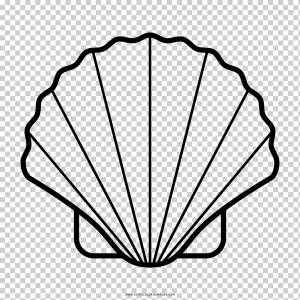 Рисунок ракушки Волна ветра, море, угол, белый, лист png