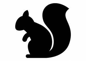 Трафареты Белки