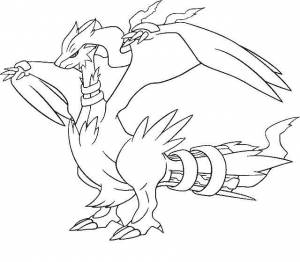 Раскраски Раскраска Легендарный покемон 5го поколения reshiram Покемоны