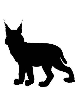 Трафареты Рыси