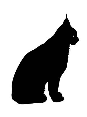 Трафареты Рыси