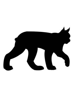 Трафареты Рыси