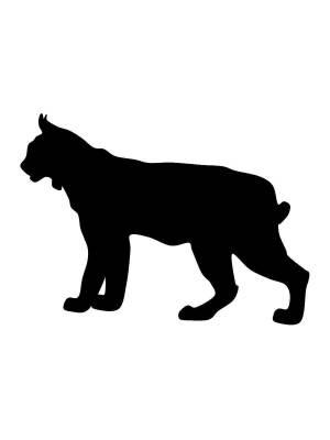 Трафареты Рыси