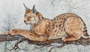 Набор для вышивания PANNA Живая картина JK-2027 Рысь 29 х 17 см