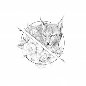 Рысь рисунки