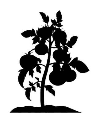 Трафареты Помидора